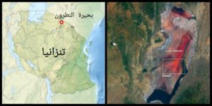 بحيرة النطرون