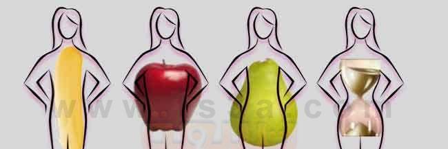 المعايير المتبعة لإختيار الملابس\شكل الجسم